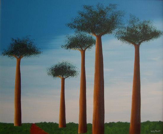 baobabs